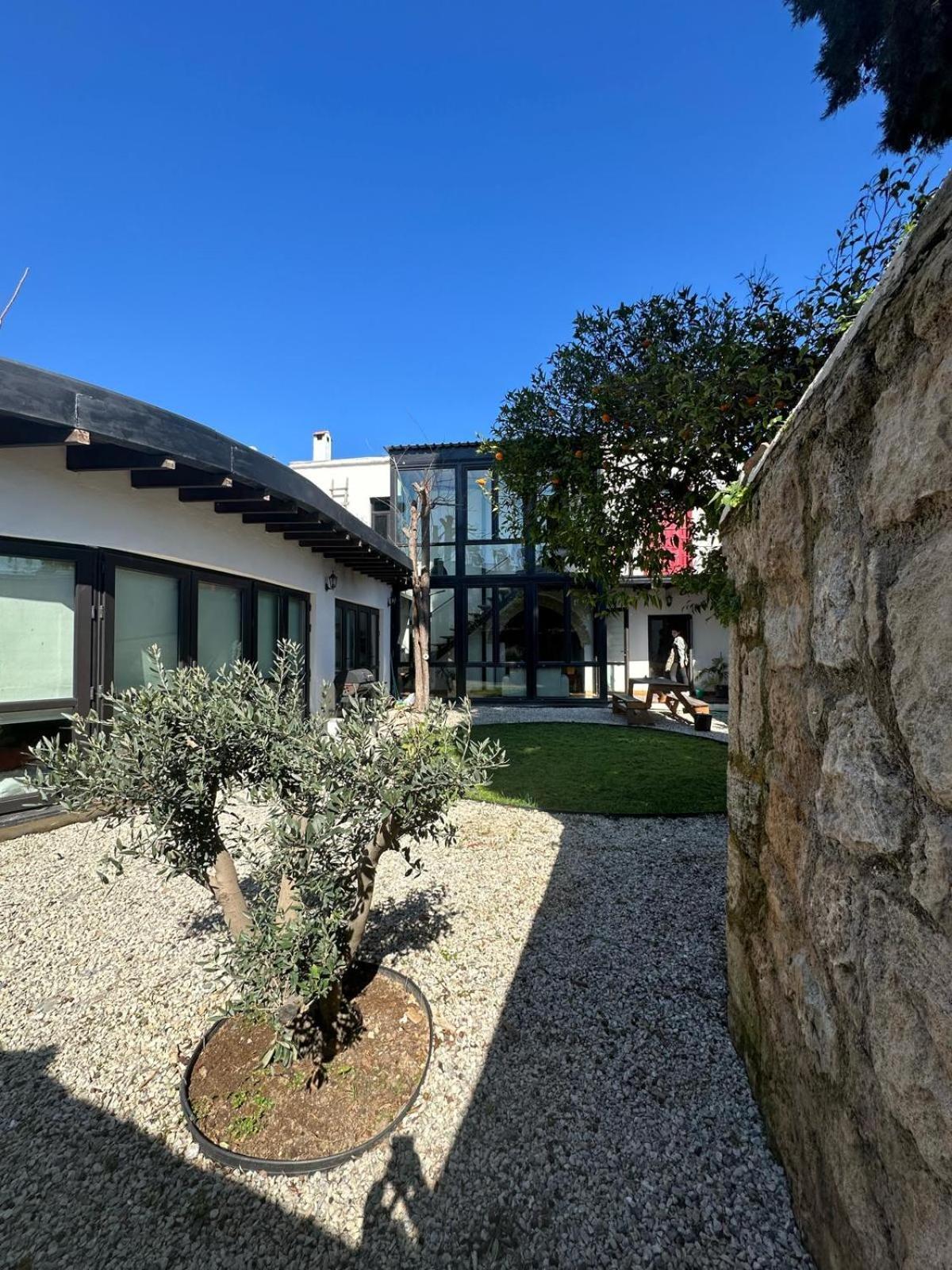Villa Olive House à Kyrenia  Extérieur photo